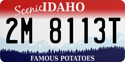 ID license plate 2M8113T