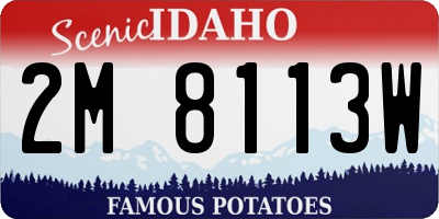 ID license plate 2M8113W