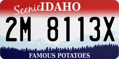 ID license plate 2M8113X