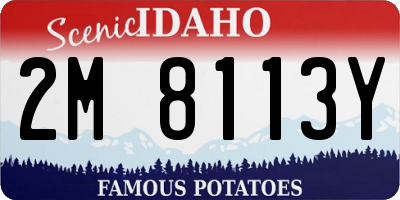 ID license plate 2M8113Y