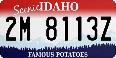 ID license plate 2M8113Z