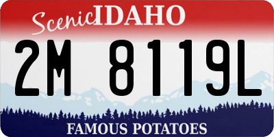 ID license plate 2M8119L