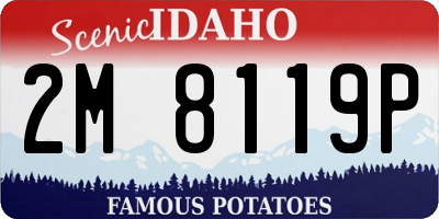 ID license plate 2M8119P