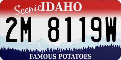 ID license plate 2M8119W