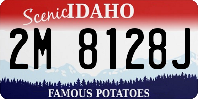 ID license plate 2M8128J