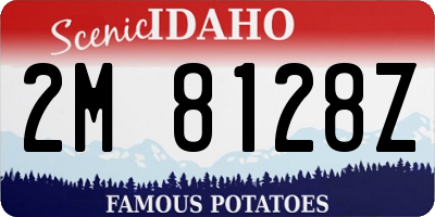 ID license plate 2M8128Z