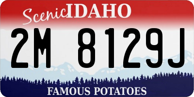 ID license plate 2M8129J