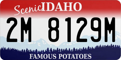 ID license plate 2M8129M