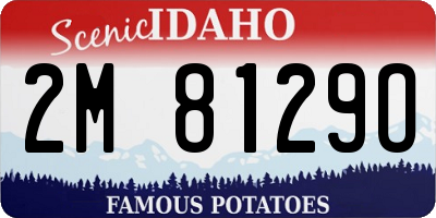ID license plate 2M8129O