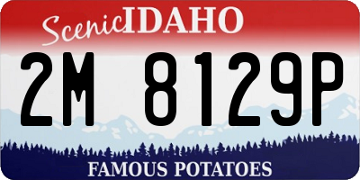 ID license plate 2M8129P