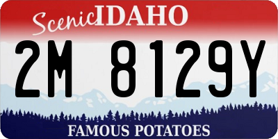 ID license plate 2M8129Y