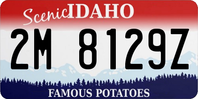 ID license plate 2M8129Z