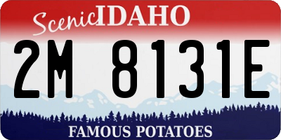 ID license plate 2M8131E