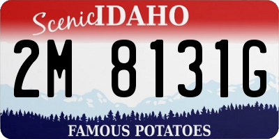 ID license plate 2M8131G