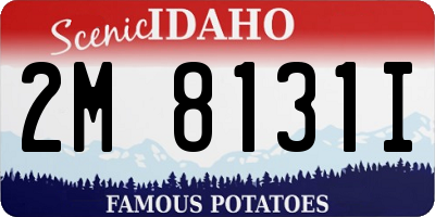 ID license plate 2M8131I