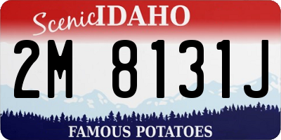 ID license plate 2M8131J
