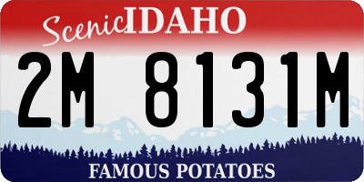 ID license plate 2M8131M
