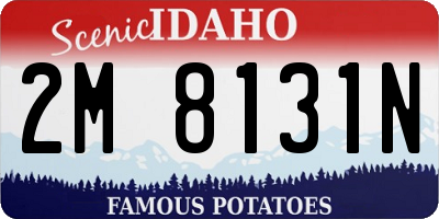 ID license plate 2M8131N