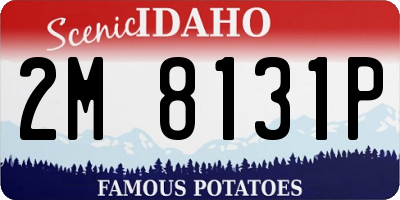 ID license plate 2M8131P
