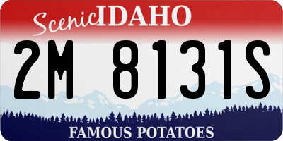 ID license plate 2M8131S