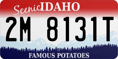 ID license plate 2M8131T