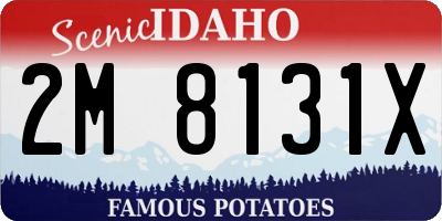 ID license plate 2M8131X