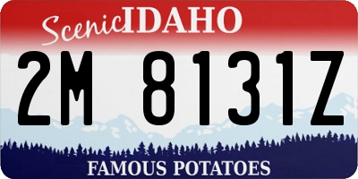 ID license plate 2M8131Z