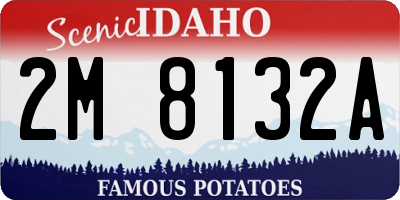 ID license plate 2M8132A