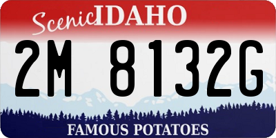 ID license plate 2M8132G