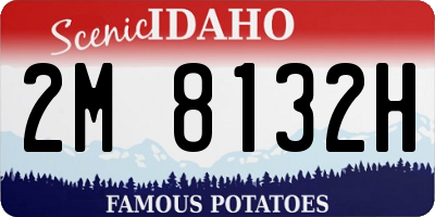 ID license plate 2M8132H
