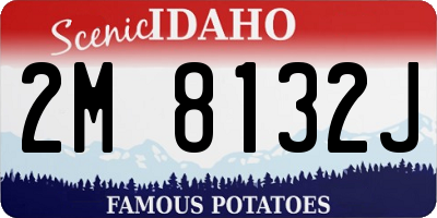 ID license plate 2M8132J