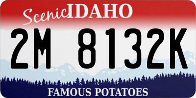 ID license plate 2M8132K