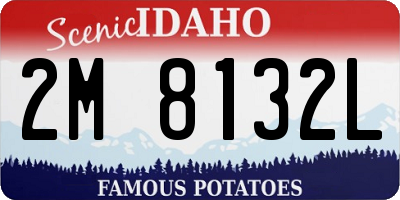 ID license plate 2M8132L