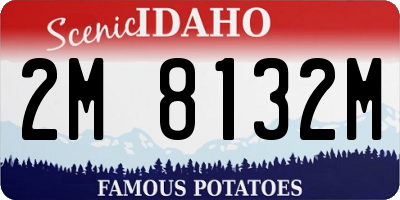 ID license plate 2M8132M