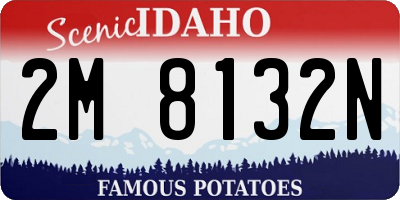 ID license plate 2M8132N