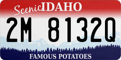 ID license plate 2M8132Q