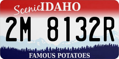 ID license plate 2M8132R