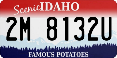 ID license plate 2M8132U