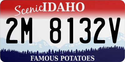ID license plate 2M8132V