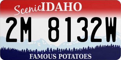 ID license plate 2M8132W