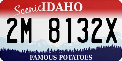 ID license plate 2M8132X