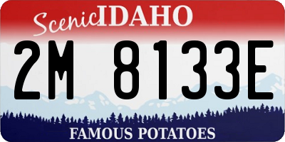 ID license plate 2M8133E