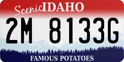 ID license plate 2M8133G