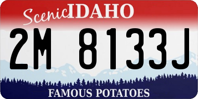 ID license plate 2M8133J