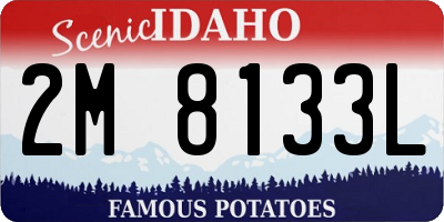 ID license plate 2M8133L