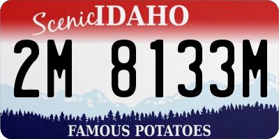 ID license plate 2M8133M