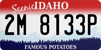 ID license plate 2M8133P