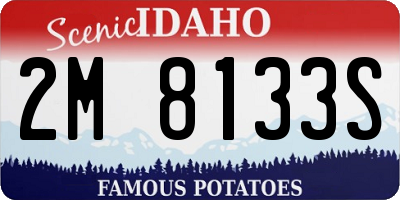ID license plate 2M8133S