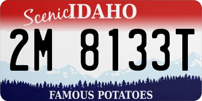 ID license plate 2M8133T