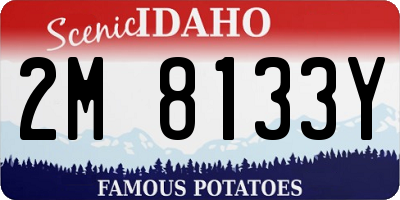 ID license plate 2M8133Y